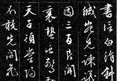  顶衷