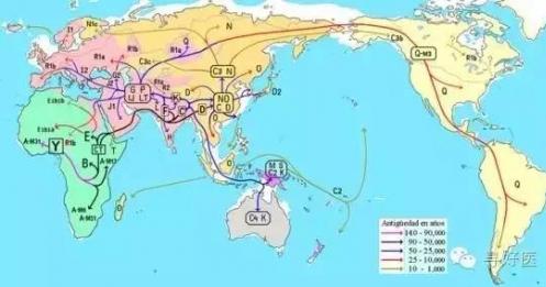 中国人从何而来？ 人类迁移路线图出来了：全世界人口基因来自36个女人
